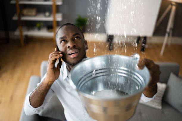 Cannelton, IN Water damage restoration Pros