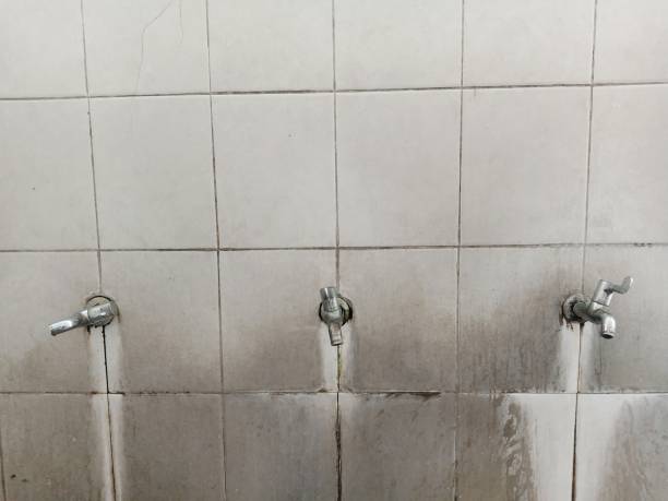 Best Water damage contractors near me  in Cannelton, IN