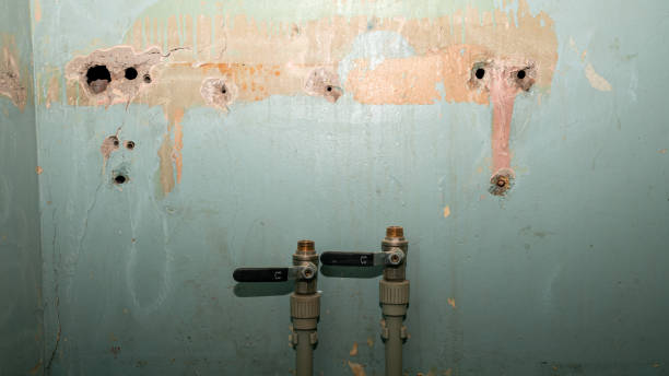 Best Water damage restoration near me  in Cannelton, IN