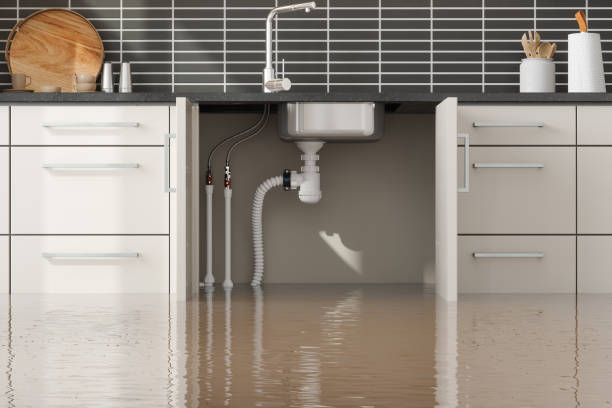 Best Flooded house restoration  in Cannelton, IN