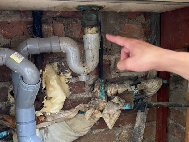 Best Basement water damage restoration  in Cannelton, IN