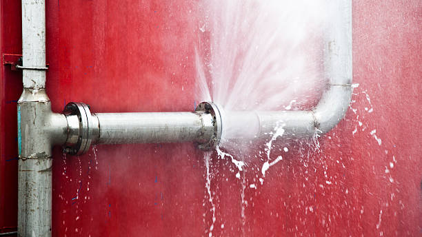 Best Fire Damage Restoration  in Cannelton, IN