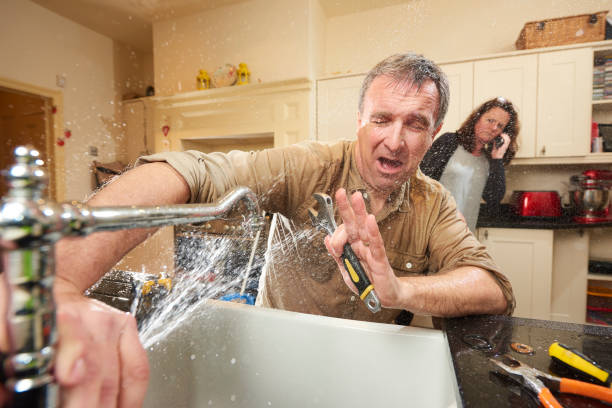 Best Flood damage cleanup  in Cannelton, IN
